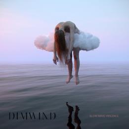 Dimwind - Slow Wave Violence (2021)